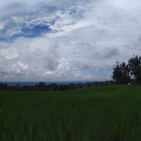 Tegal Jero Homestay Jatiluwih Exteriér fotografie
