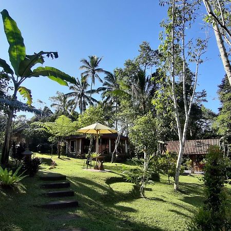 Tegal Jero Homestay Jatiluwih Exteriér fotografie