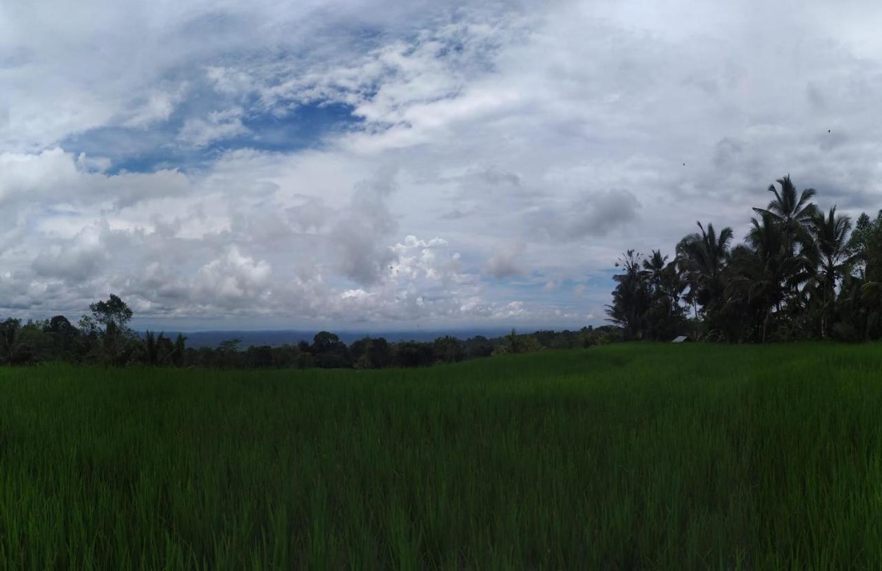 Tegal Jero Homestay Jatiluwih Exteriér fotografie
