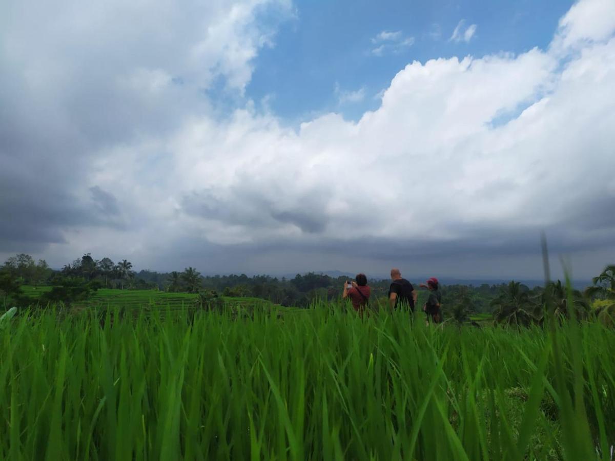 Tegal Jero Homestay Jatiluwih Exteriér fotografie