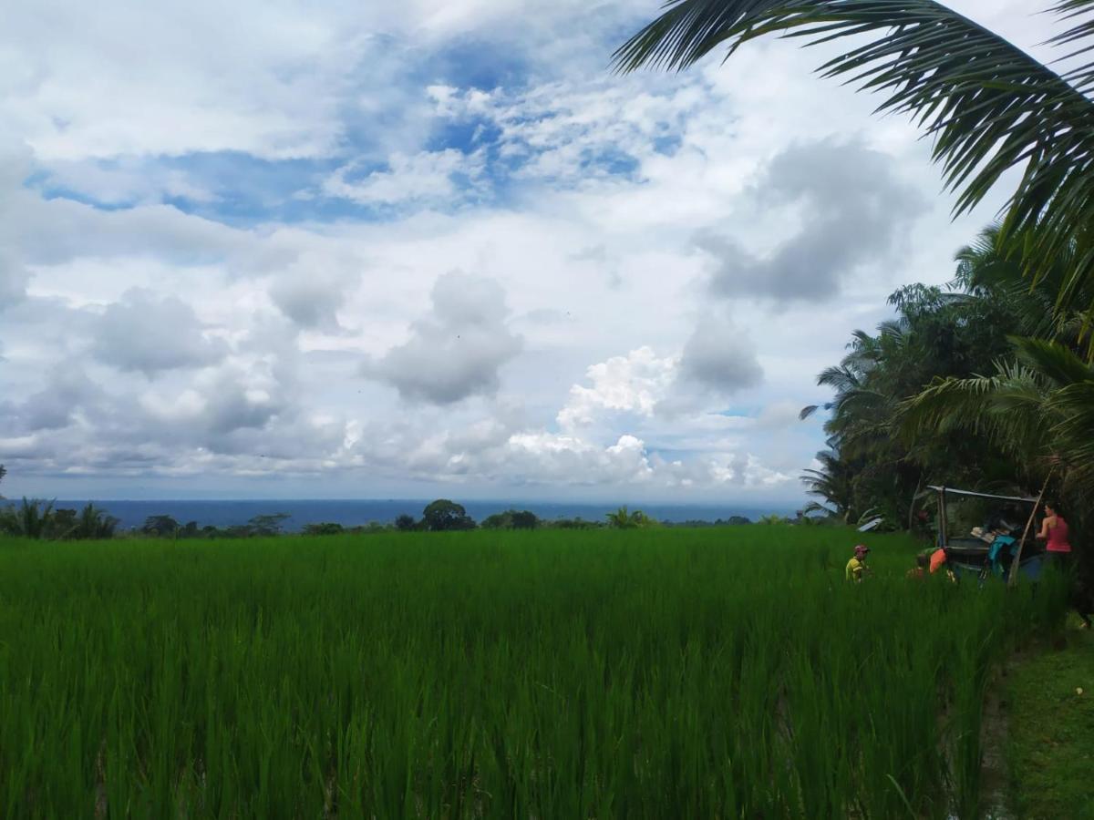 Tegal Jero Homestay Jatiluwih Exteriér fotografie