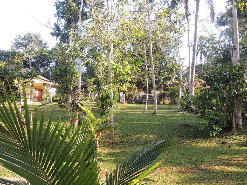Tegal Jero Homestay Jatiluwih Exteriér fotografie