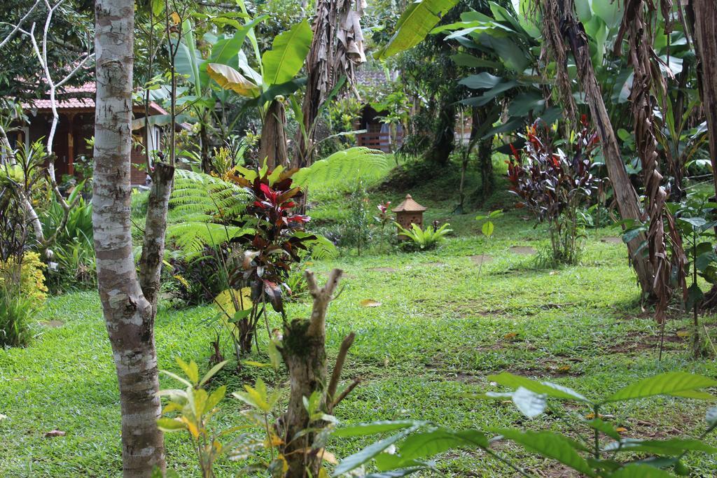 Tegal Jero Homestay Jatiluwih Exteriér fotografie