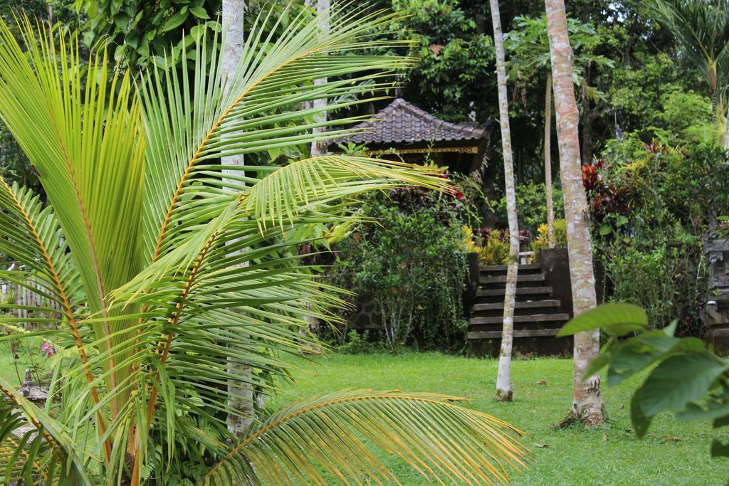 Tegal Jero Homestay Jatiluwih Exteriér fotografie