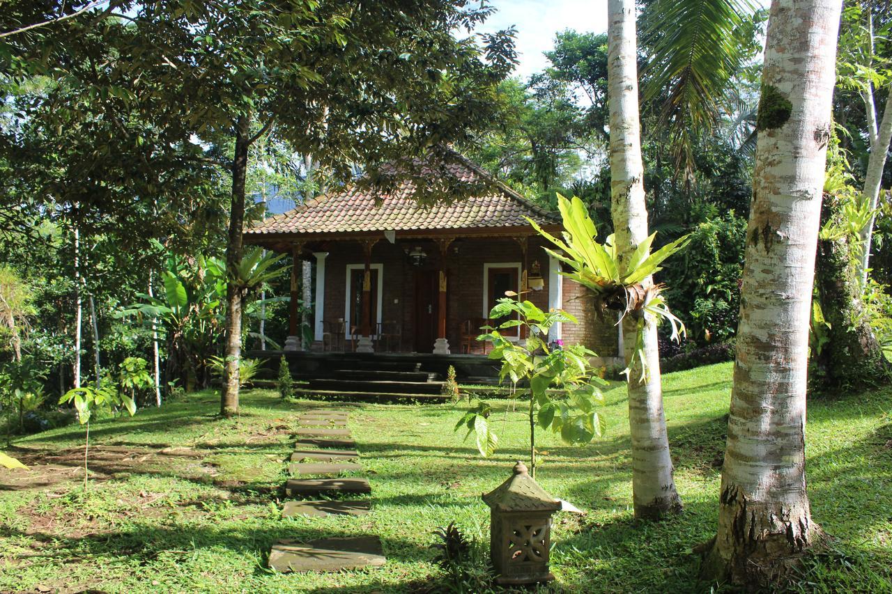 Tegal Jero Homestay Jatiluwih Exteriér fotografie