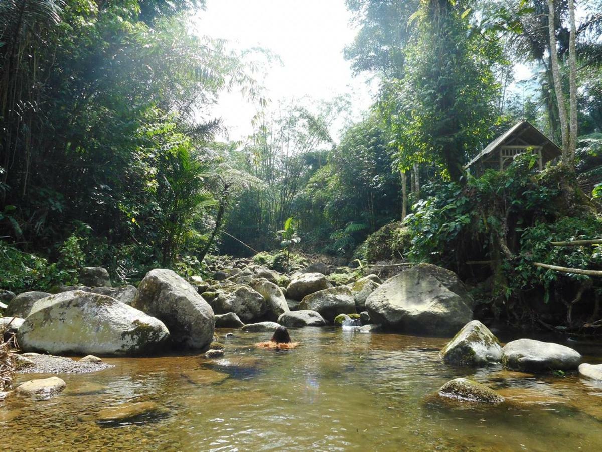 Tegal Jero Homestay Jatiluwih Exteriér fotografie