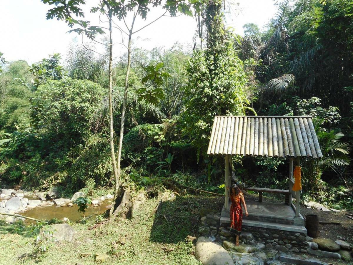 Tegal Jero Homestay Jatiluwih Exteriér fotografie
