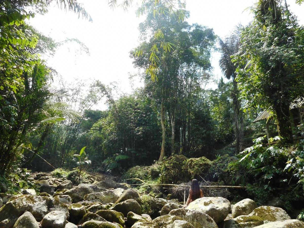 Tegal Jero Homestay Jatiluwih Exteriér fotografie
