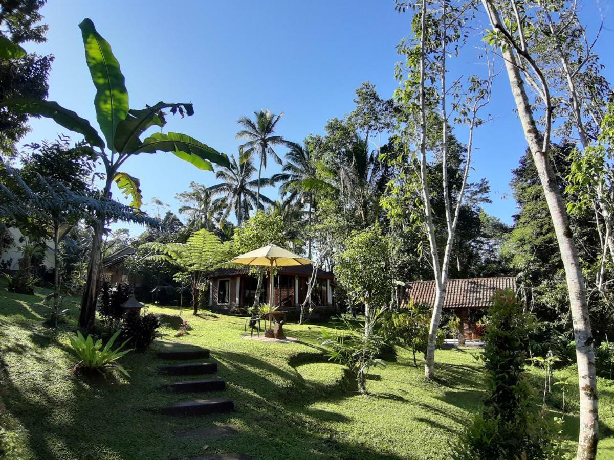 Tegal Jero Homestay Jatiluwih Exteriér fotografie