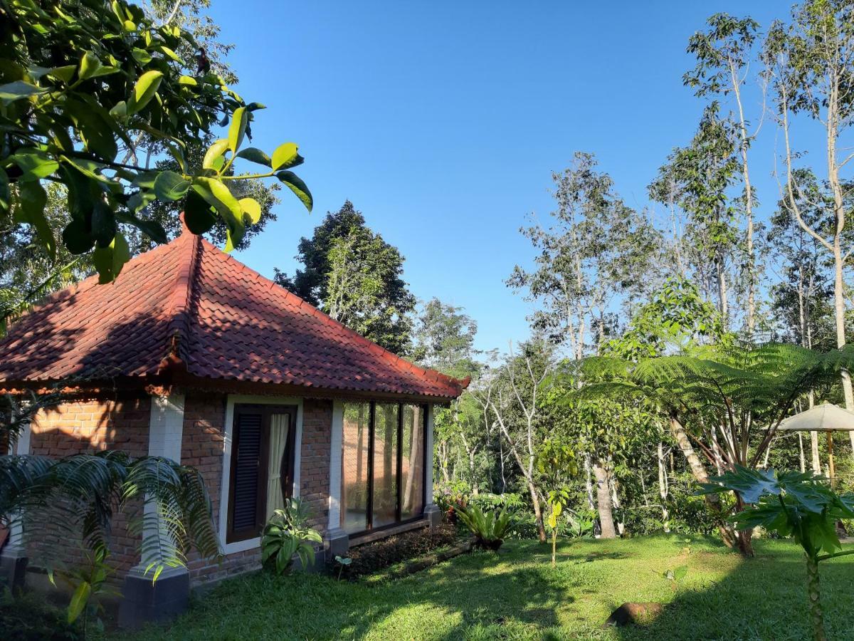 Tegal Jero Homestay Jatiluwih Exteriér fotografie