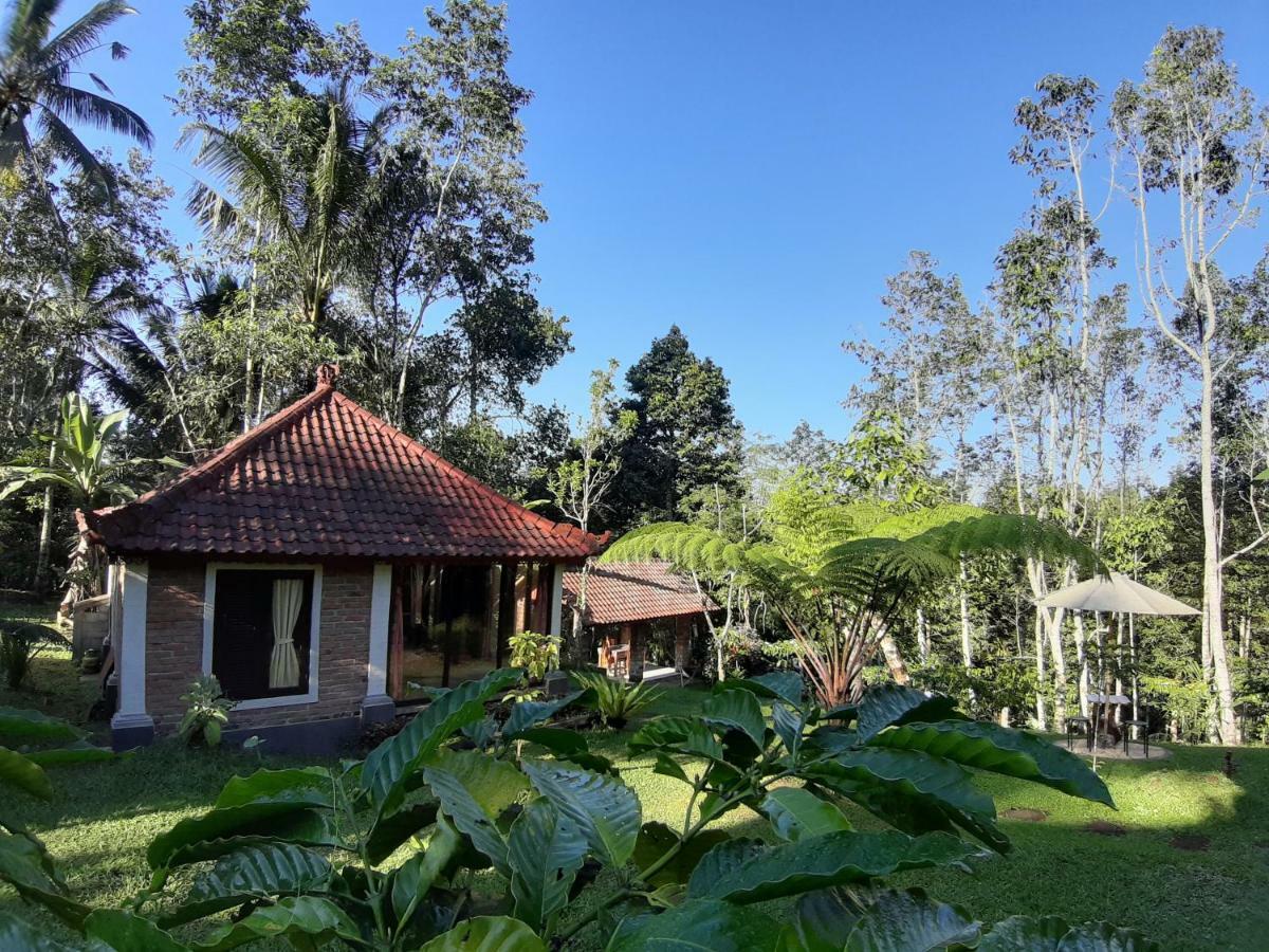 Tegal Jero Homestay Jatiluwih Exteriér fotografie