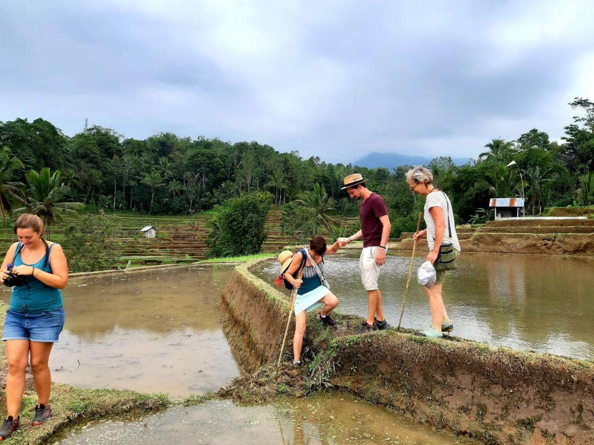 Tegal Jero Homestay Jatiluwih Exteriér fotografie