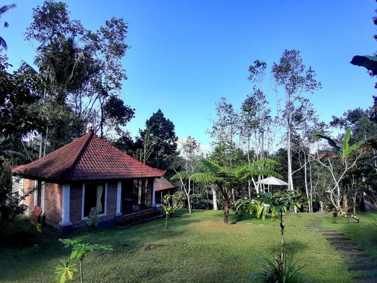 Tegal Jero Homestay Jatiluwih Exteriér fotografie